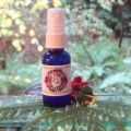 Yuletide Blessings Aromatherapy Mister
