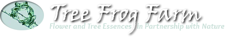 Aromatherapy and Essence Misters - Flower Essences | Flower Remedies | Tree Frog Farm